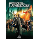 Fantastic Beasts: The Secrets of Dumbledore